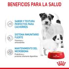 Royal Canin Starter Mommy & Baby mousse latas para cães, , large image number null